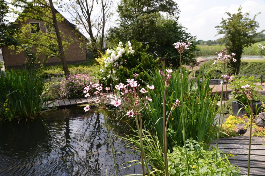 Guest House Aan De Hollandse Ijssel Montfoort エクステリア 写真